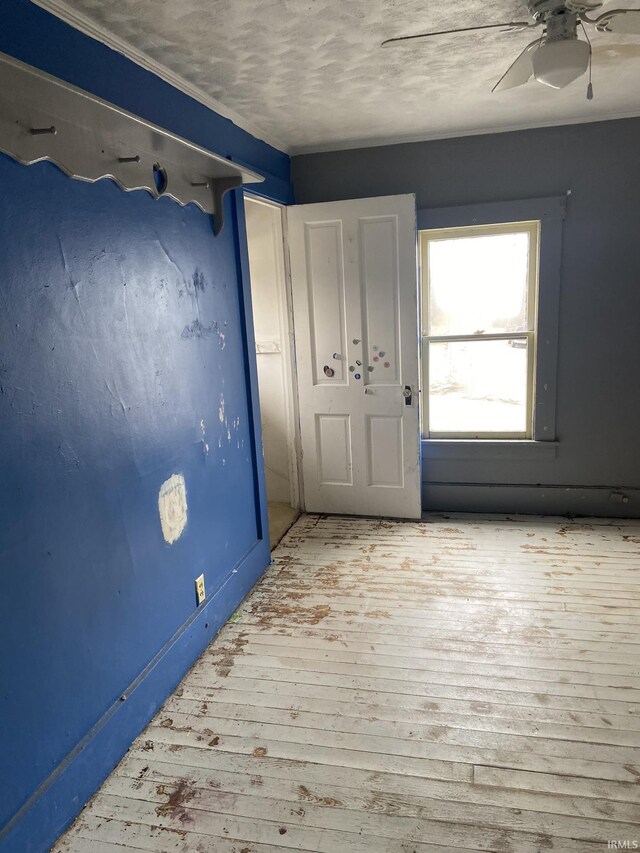 interior space featuring ceiling fan and light hardwood / wood-style flooring