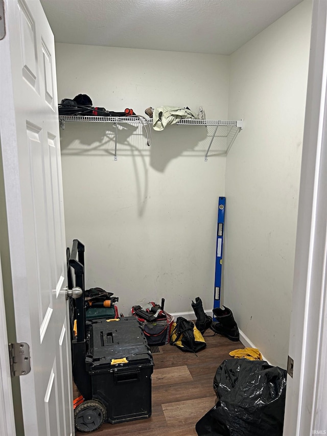 spacious closet featuring wood-type flooring