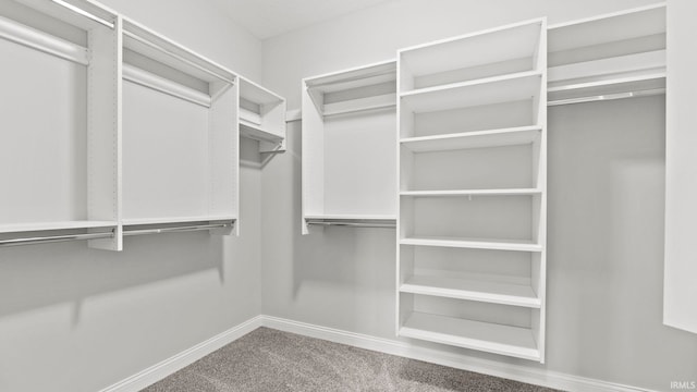 spacious closet with carpet flooring