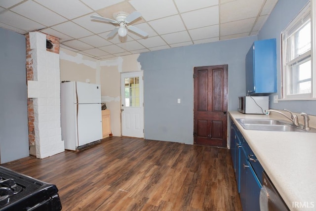 kitchen with a drop ceiling, white refrigerator, blue cabinets, sink, and dark hardwood / wood-style floors