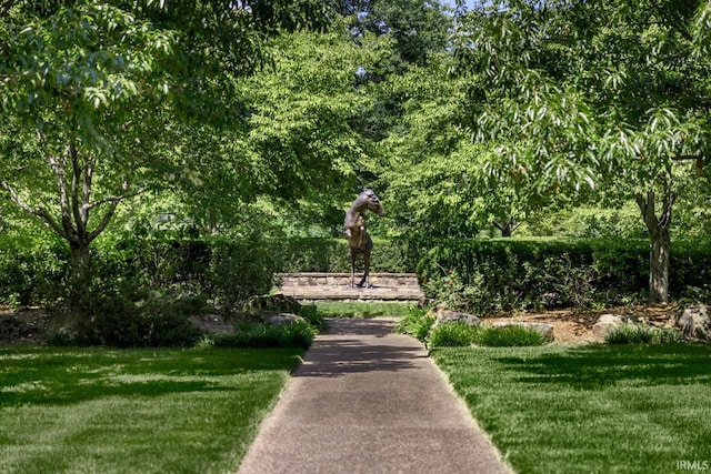 view of home's community with a lawn