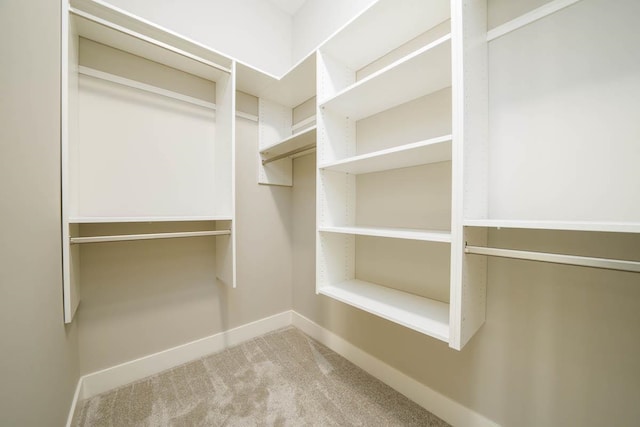 spacious closet featuring carpet