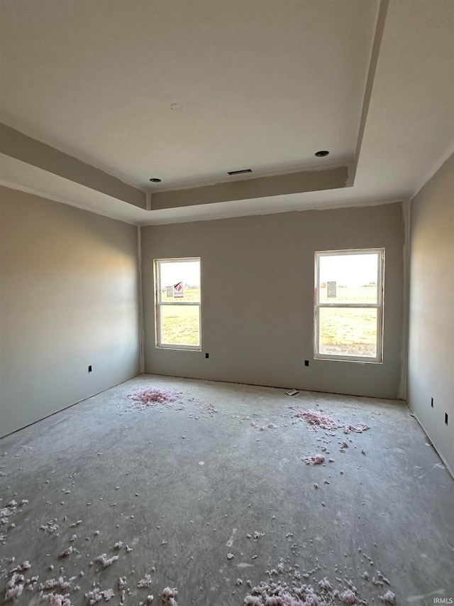 unfurnished room with a raised ceiling and a healthy amount of sunlight