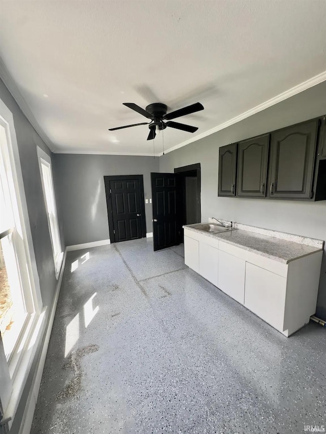 kitchen with ceiling fan, ornamental molding, and sink