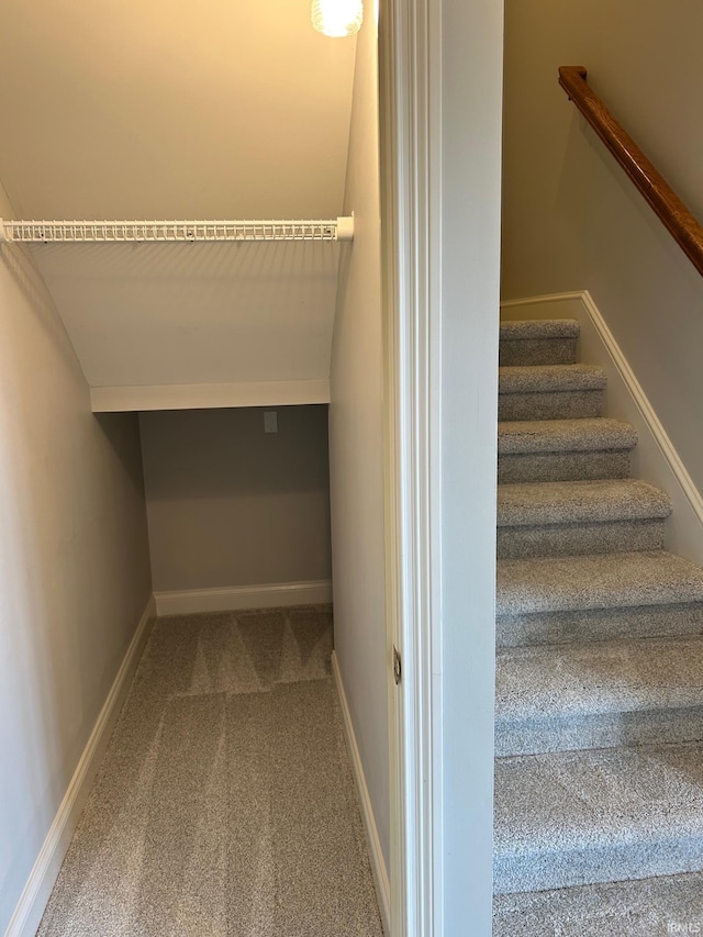 stairway with carpet