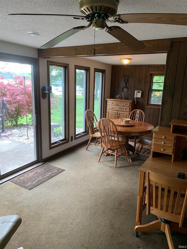 dining area with carpet floors, a textured ceiling, ceiling fan, and plenty of natural light