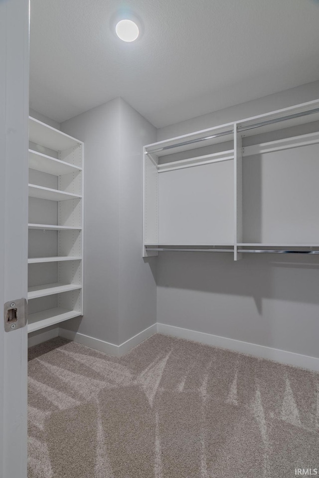 walk in closet with carpet