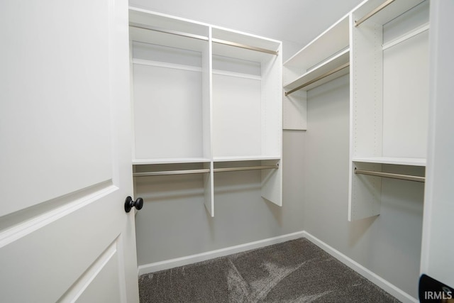 spacious closet featuring carpet