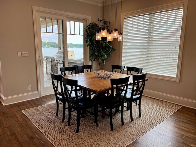 dining area featuring dark hardwood / wood-style flooring and a water view