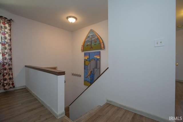 staircase featuring wood-type flooring