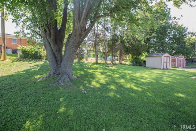 view of yard featuring a storage shed