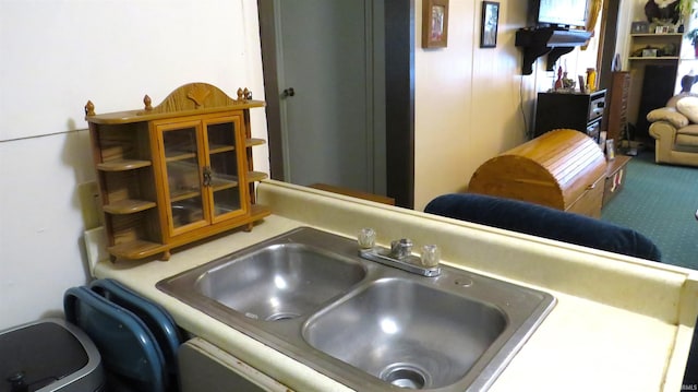 room details with sink