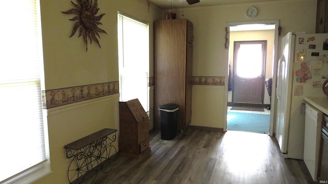 hall featuring dark wood-type flooring