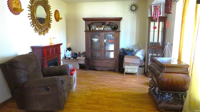 sitting room featuring light hardwood / wood-style flooring