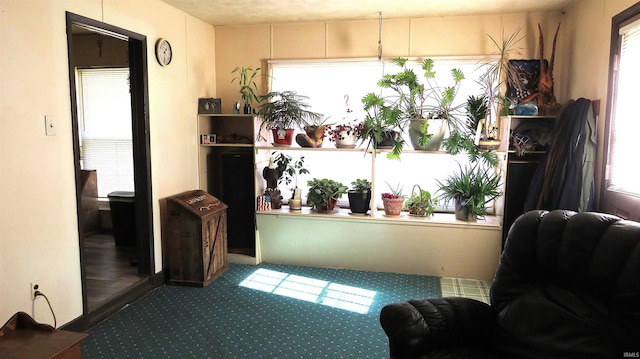 sitting room with a wealth of natural light