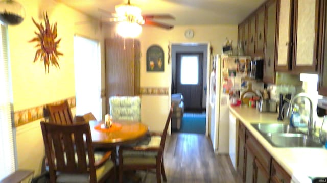 dining space featuring ceiling fan, sink, and dark hardwood / wood-style flooring