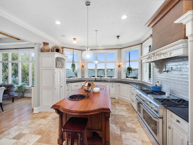 kitchen with crown molding, range with two ovens, a healthy amount of sunlight, and sink