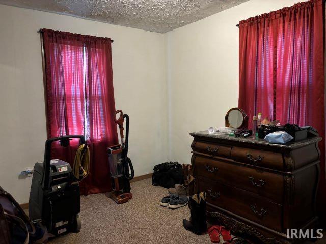 misc room featuring carpet floors and a textured ceiling