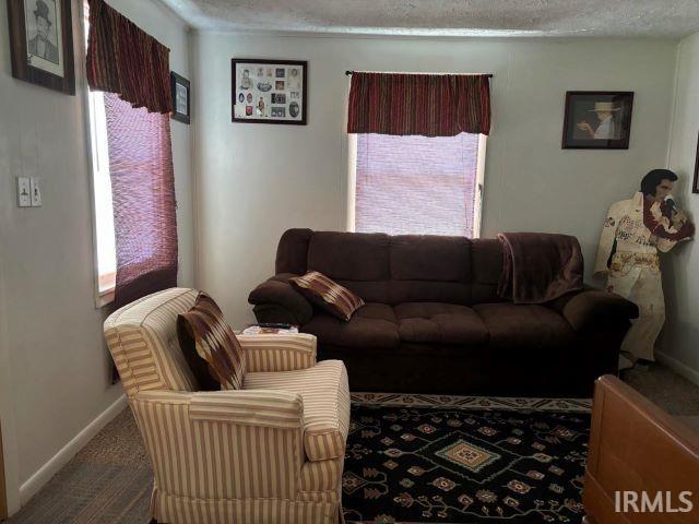 living area with carpet, a textured ceiling, and baseboards