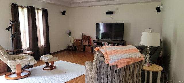 living room featuring wood-type flooring and a raised ceiling