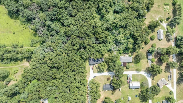 bird's eye view with a view of trees