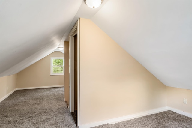 bonus room featuring carpet floors and vaulted ceiling