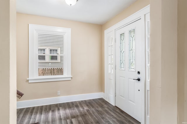 entryway featuring dark wood-type flooring