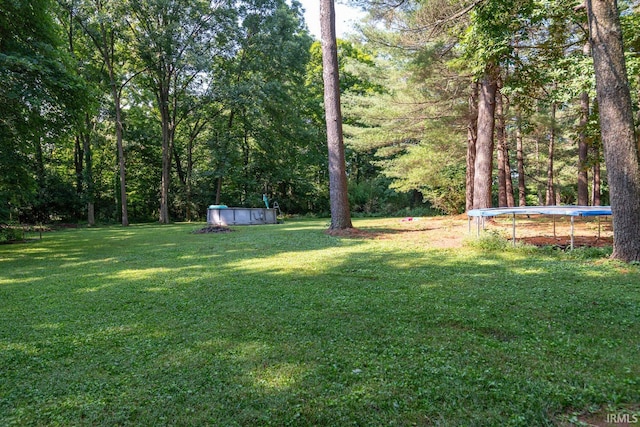 view of yard featuring a trampoline