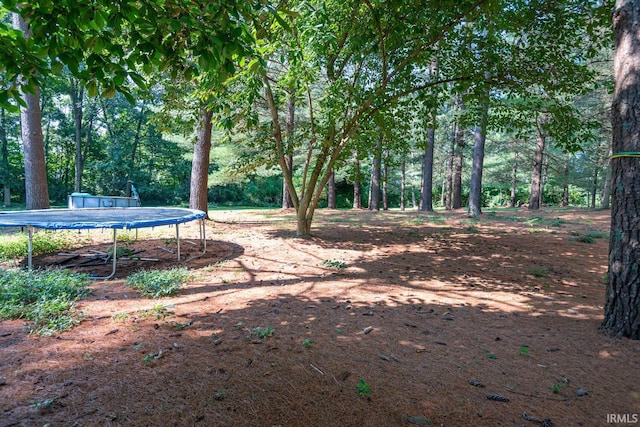 view of yard featuring a trampoline