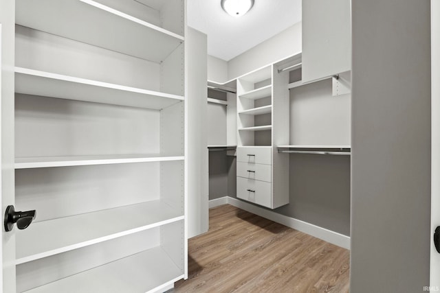 walk in closet featuring wood finished floors
