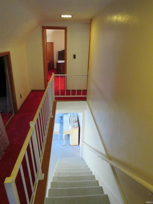 staircase featuring carpet