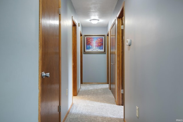 hallway with light colored carpet