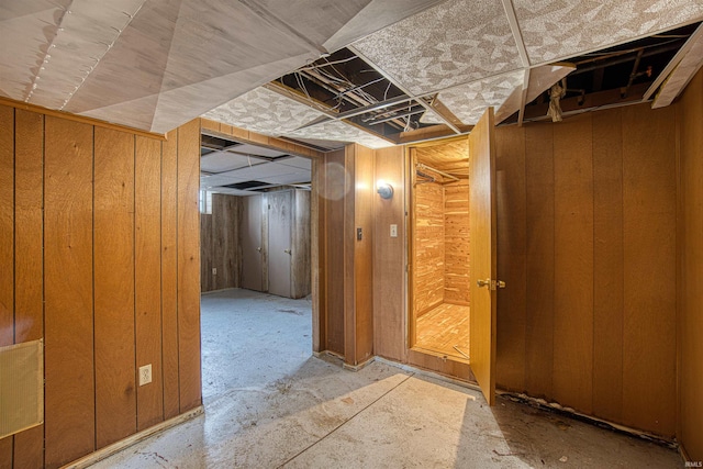 basement with wooden walls