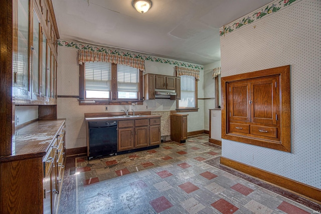 kitchen featuring dishwasher and sink