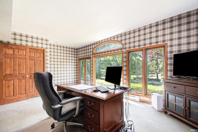 carpeted office space with plenty of natural light