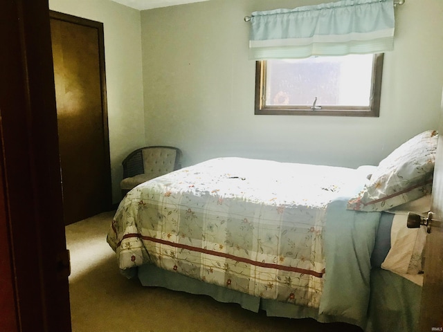 bedroom featuring carpet