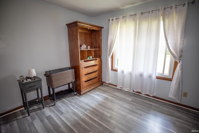 interior space featuring hardwood / wood-style floors and plenty of natural light