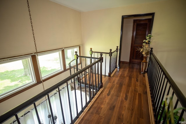 hall featuring dark wood-type flooring