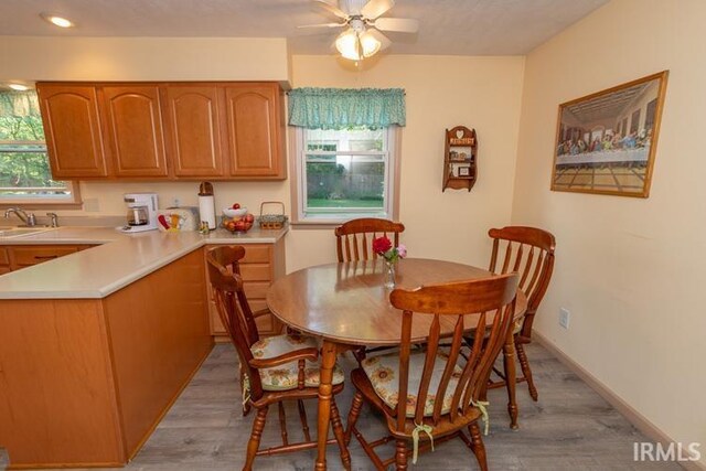 dining space with sink, ceiling fan, and light hardwood / wood-style floors