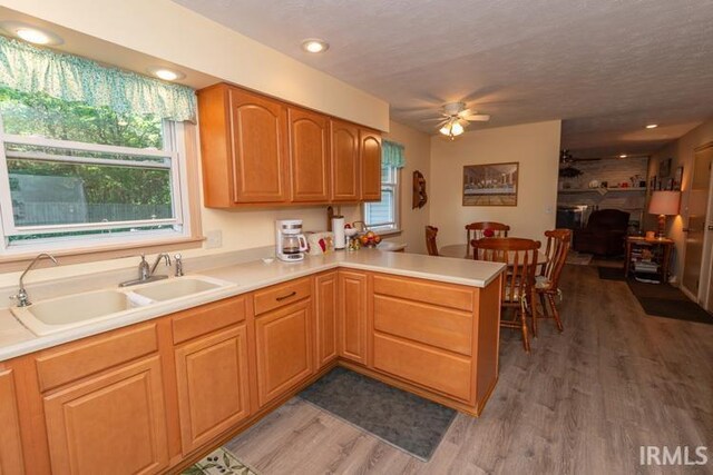 kitchen with kitchen peninsula, ceiling fan, hardwood / wood-style floors, a healthy amount of sunlight, and sink