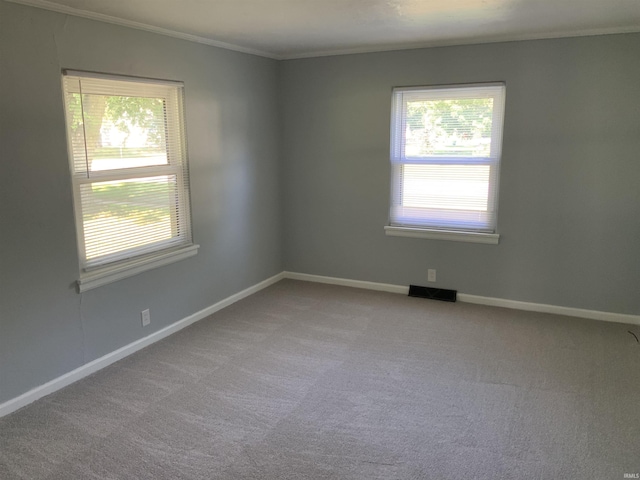 carpeted spare room featuring crown molding