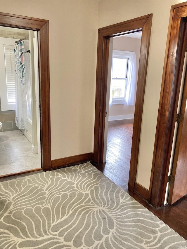 corridor featuring dark hardwood / wood-style flooring