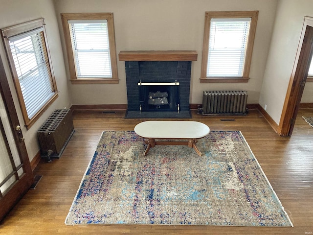 living room with plenty of natural light, radiator, and light hardwood / wood-style flooring