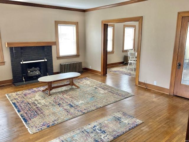 living room with crown molding, radiator heating unit, a fireplace, and light wood-type flooring