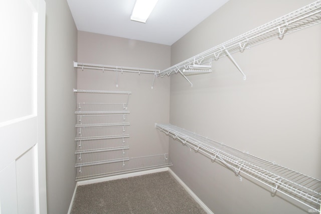 walk in closet featuring carpet flooring