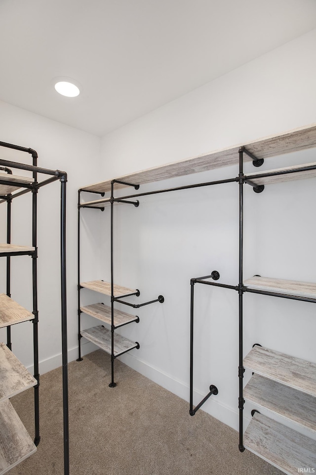 spacious closet featuring carpet flooring