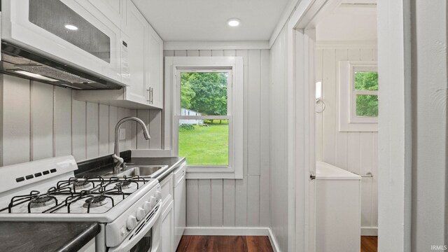 kitchen featuring plenty of natural light, dark hardwood / wood-style floors, and white appliances