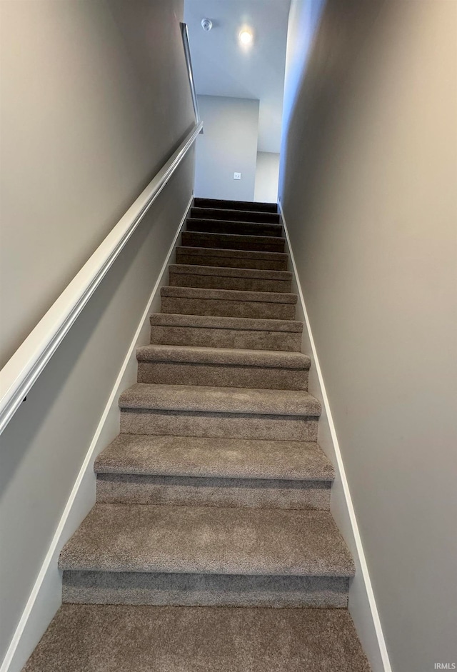 staircase featuring carpet