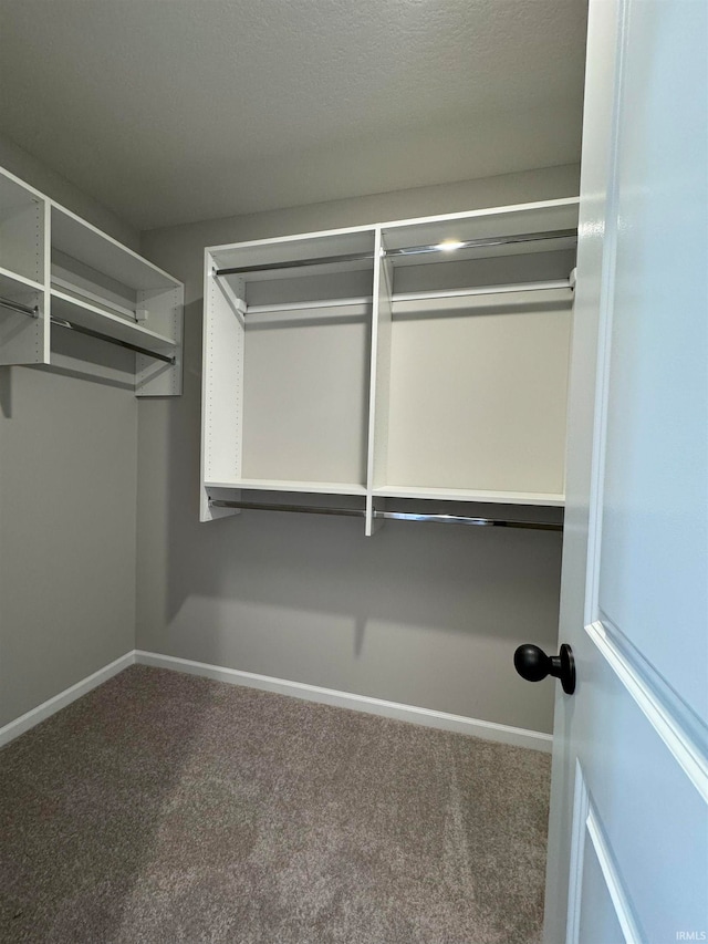 walk in closet with carpet