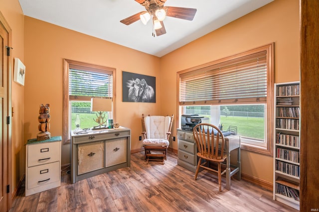 office featuring plenty of natural light and hardwood / wood-style floors